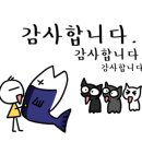 미아오스트럭쳐