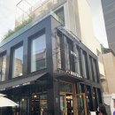 핫핫핫한 도산공원 파지티브호텔 뷰티그로서리