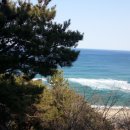 국립산림과학원 산림유전자원부 이미지