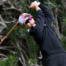 대승이네 이미지