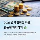 하나정보통신~예산군법원~박성규법무사사무실 | 2025년 개인회생 비용 완벽 정리 💸