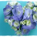 사람냄새 이미지