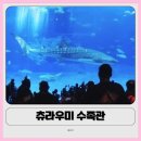 [공지] 북부 오키나와 가족여행 필수코스 | 아이와 함께한 츄라우미 수족관 후기