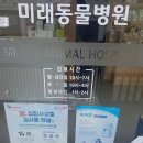 미래동물병원 이미지