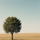 여의도삼성정신건강의학과의원 | 여의도 정신과_그대들은 어떻게 살 것인가