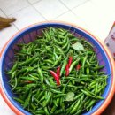 박정배농장 이미지