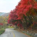 새터주유소 이미지