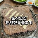 (주)언양전통불고기 | 울산 언양전통불고기 언양불고기 육회 맛집 솔직후기 내돈내산