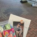 뽑지모 이미지