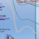 세종아파트 이미지