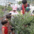 금강모치마을 이미지