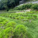 큰마음목장 이미지