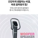 월드비에스