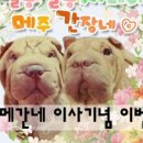 우리모자