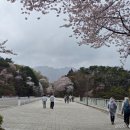 식물원 옆 동물원 이미지