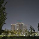 힐스테이트고덕공인중개사사무소 이미지