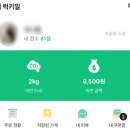 럭키식품 | 럭키밀 앱 후기 | 반값 빵으로 CO2 줄이고 탄소배출권까지 챙기는 법