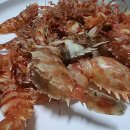 옥동돌문어 이미지