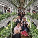 주식회사 그린팜스