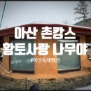 황토사랑 나무야 이미지