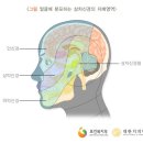 강치과 네이버블로그