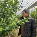 김종순농장 매일경제