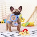 강아지사랑 이미지