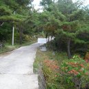 사동유원지 이미지