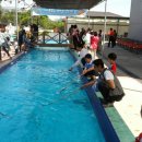 원숭이학교 자연사박물관 이미지