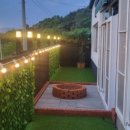 스테이더문 이미지