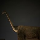 수색-003 이미지