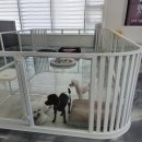 리츠펫 향남점 이미지