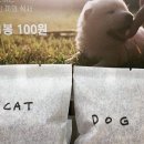 브로콜리약국 이미지