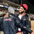 메디나인 이미지