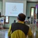 지리산황금나무 이미지