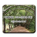 석수역 2번출구(만안구청 방향) | 서울둘레길 13코스(안양천 상류) - 기찻길 따라 걷는 벚꽃길