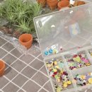 한내도서관 | [월계동 한내행복발전소 마을축제] 마술쇼 &amp; 체험행사 참여 후기