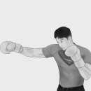 라쏘짐주짓수체육관