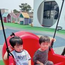 공룡풀빌라펜션 이미지