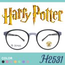 H2531 이미지