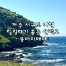 안덕면 제주해안펜션 앞 | 제주 서귀포 여행 용머리해안 기후변화홍보관 주변맛집 주차 시간