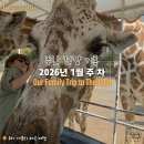 굿타임호텔 | [주간 건강 기록] 2026년 1월 1주 차 (몸무게 : 55.0kg / 체지방 : 30.6%