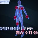 세모스쿠알렌 이미지