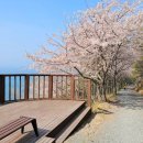 편백산림욕장 공중화장실 이미지