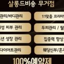 살롱 드 비숑 이미지