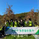 최광수농장 이데일리