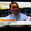 말벌들에 쏘여 죽었다 살아 났습니다. 이미지