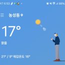 맥시카나치킨 이미지