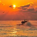 우진목장 이미지