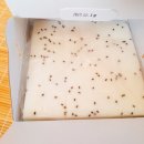 순흥우체국 이미지